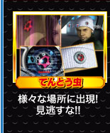 てんとう虫 様々な場所に出現！見逃すな！！