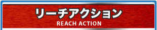 リーチアクション