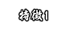 特徴1