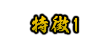 特徴1
