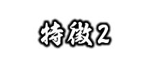 特徴2