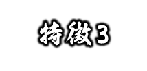 特徴3