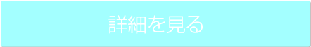 詳細をみる